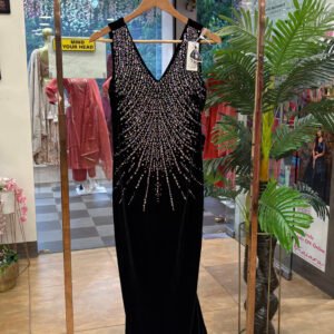 black royale velvet gown